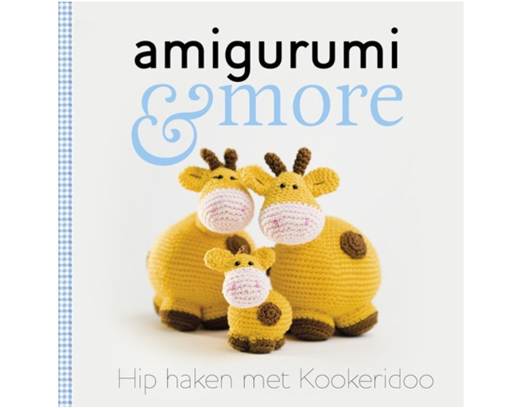 2011: MIJN ALLEREERSTE BOEK