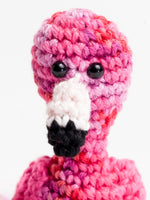 Mini Flamingo-2 Close up