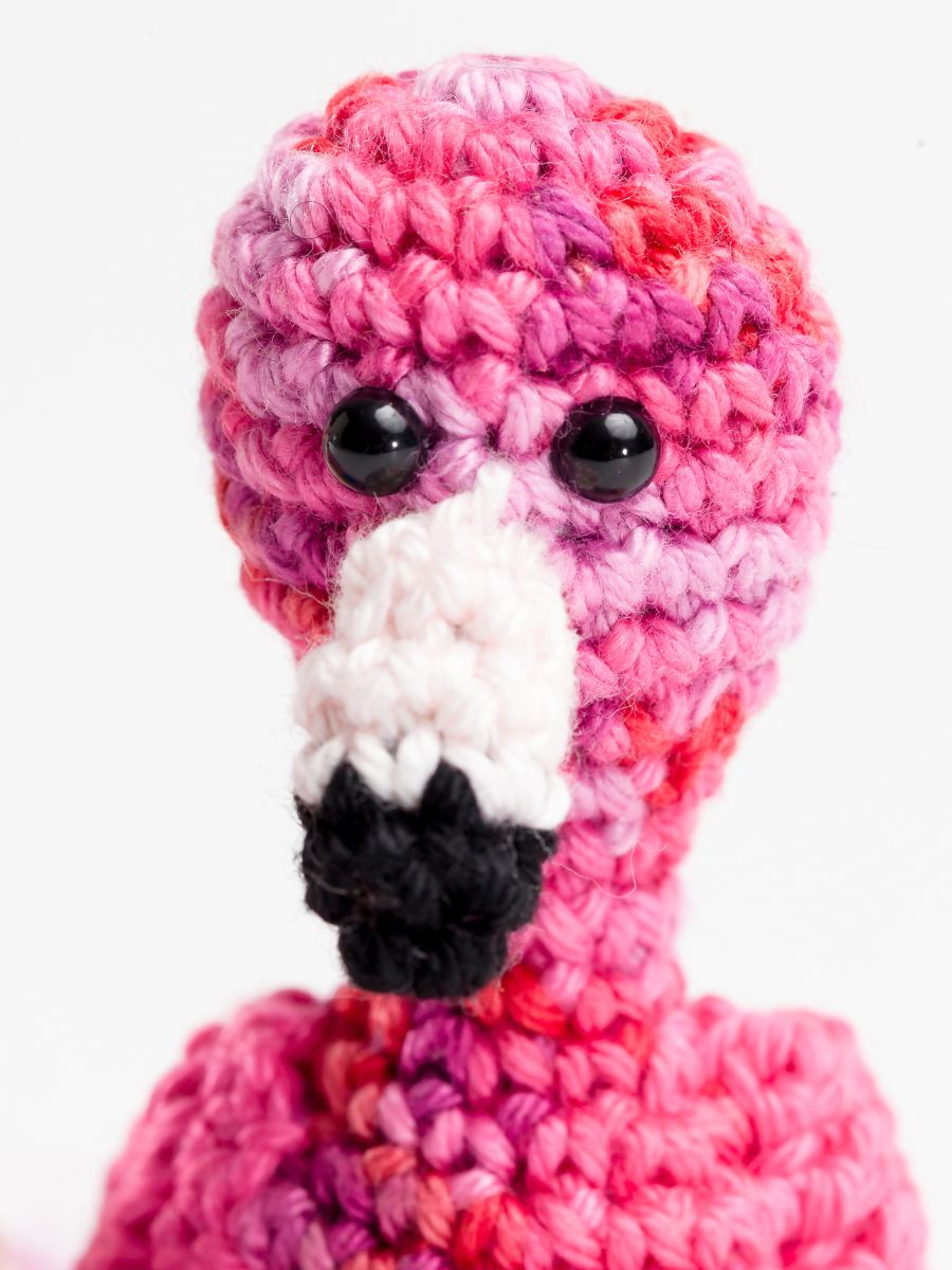 Mini Flamingo-2 Close up