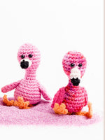 Mini Flamingo-Op het strand met zijn 2..