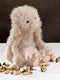 Patroon Fuzzy Bunny